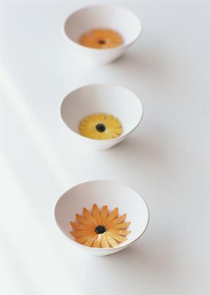 福岡の外壁塗装を成功させるための最強ガイド【2025年最新情報】